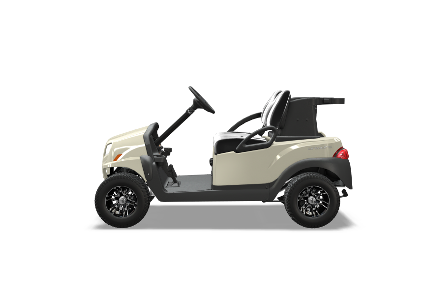 2 Passenger Golf Cart Rental